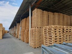 Європіддон epal 1 сорт